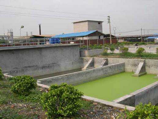 如何处理水产养殖废水（水产养殖废水违法排放）